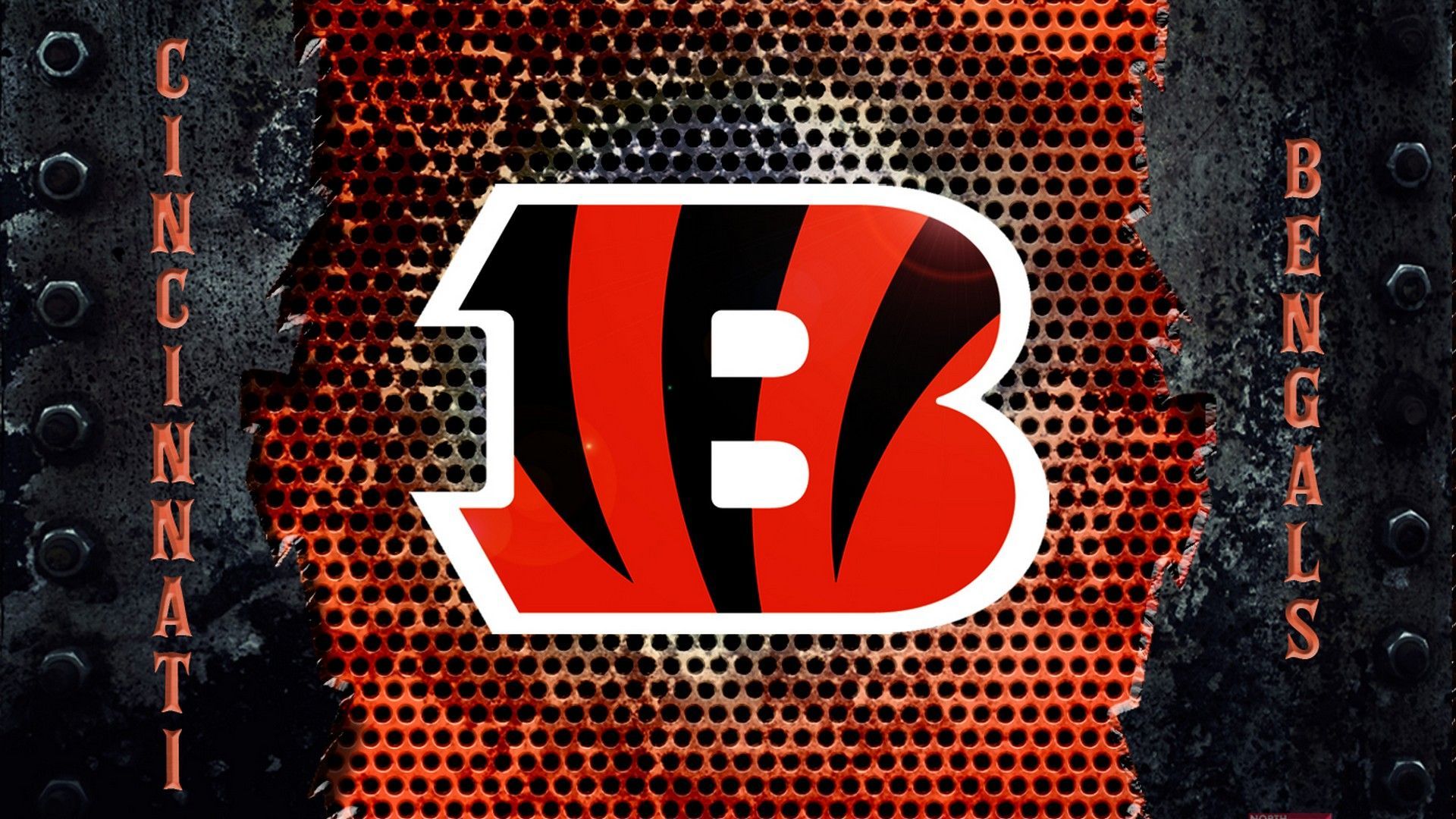 Bengals Wallpaper