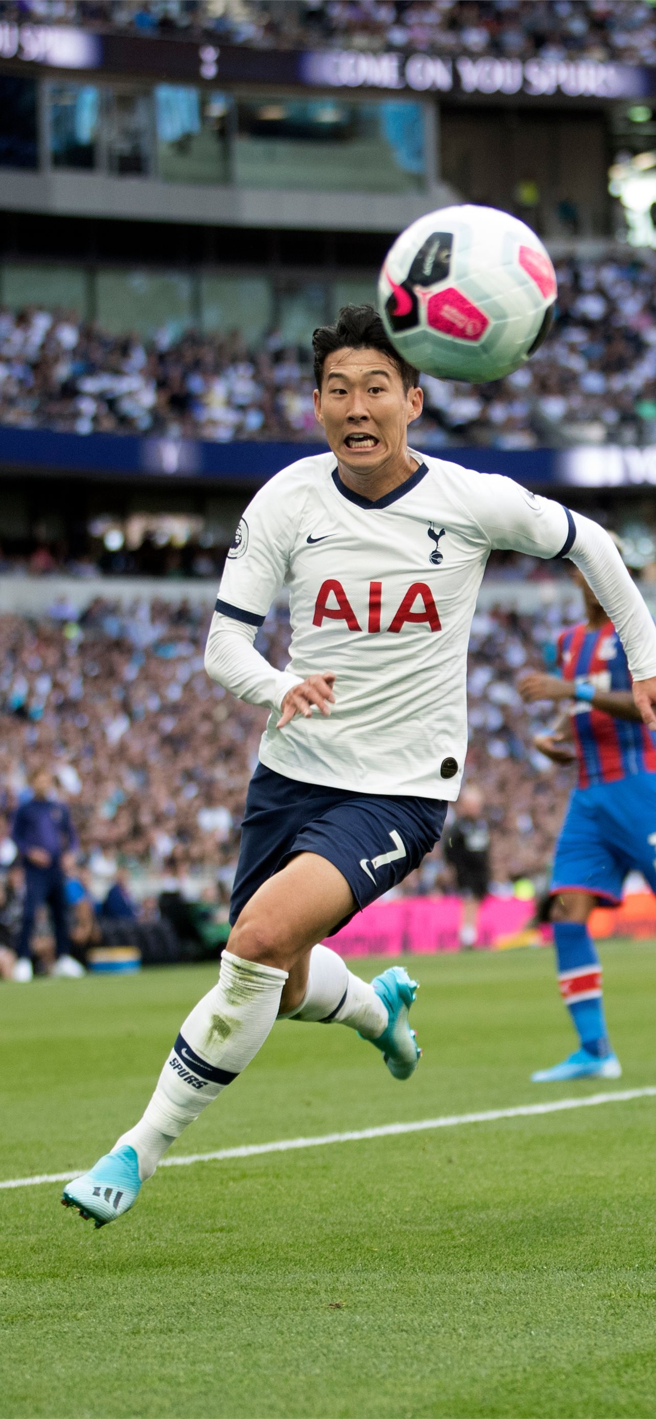 egypt national football team iPhone Wallpaper Free Download