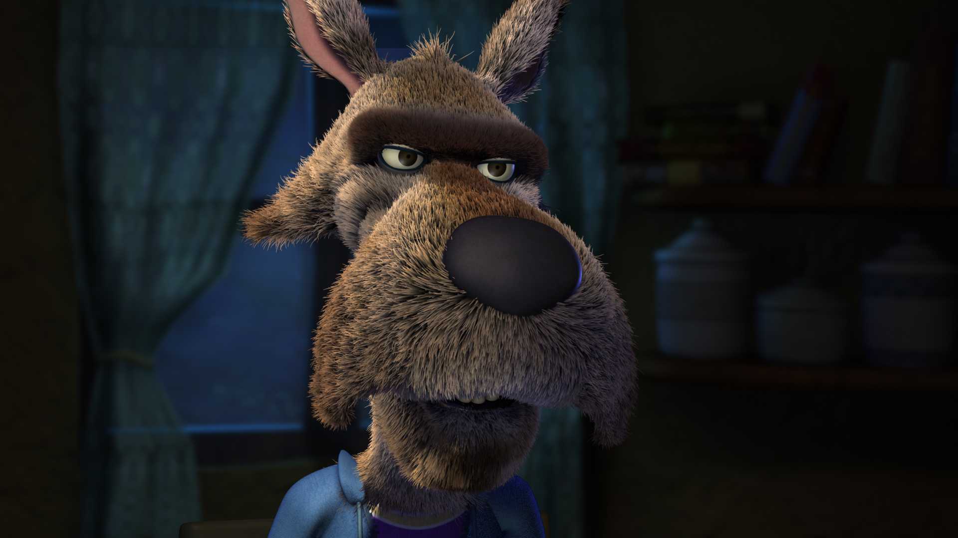 Hoodwinked