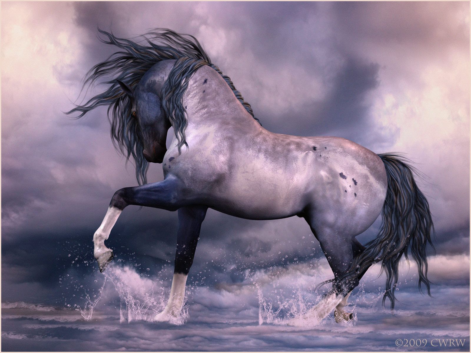 Andalusian Horse Wallpaper Free Andalusian Horse Background