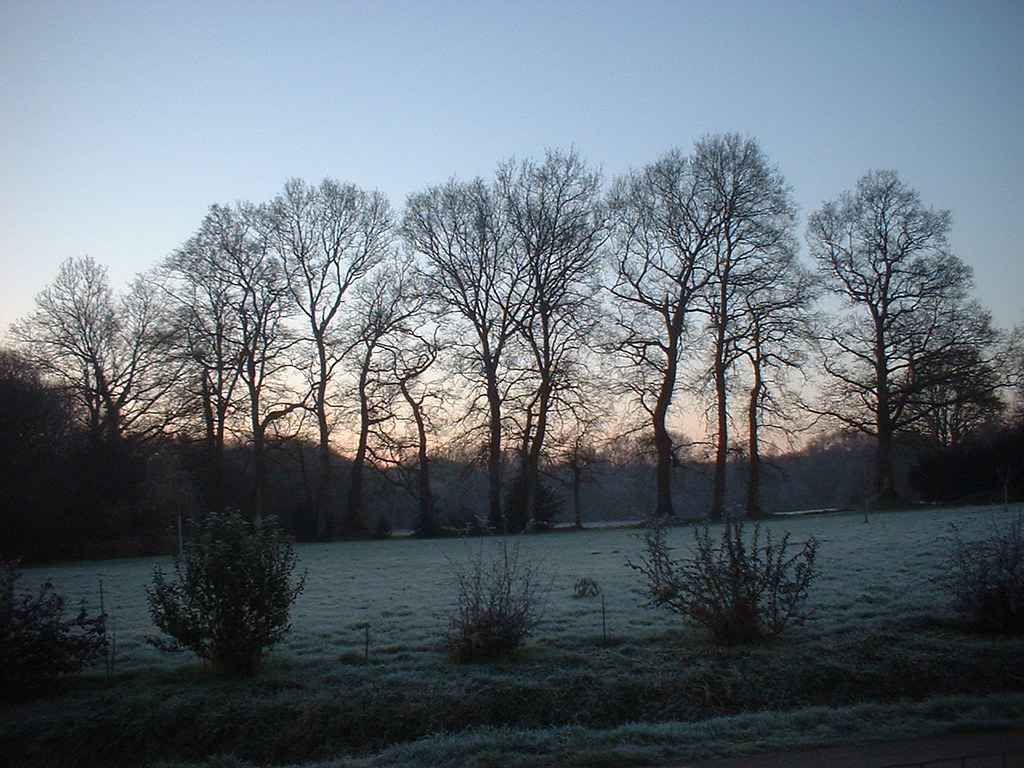 Early morning frost in Brittany. Taken at 9am on a cold Feb