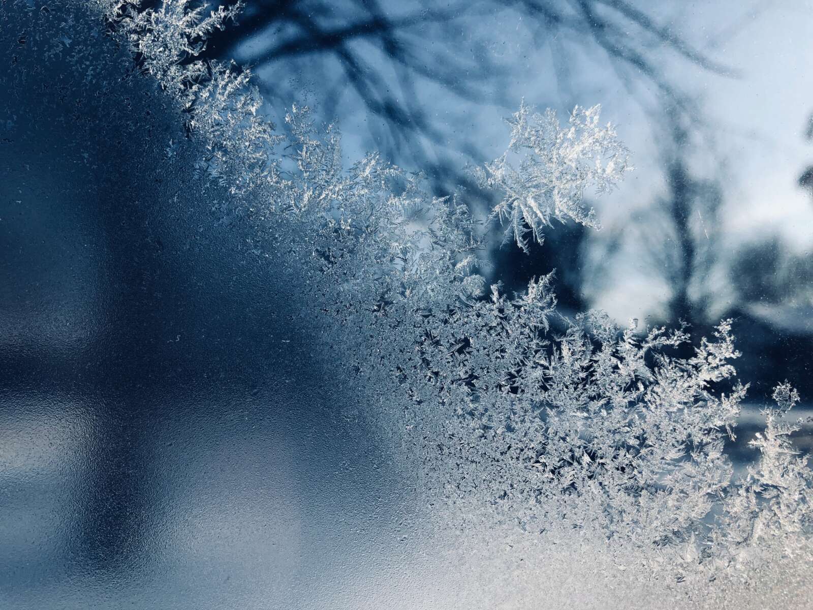 Frost Advisory issued for Fairfax County early Wednesday morning