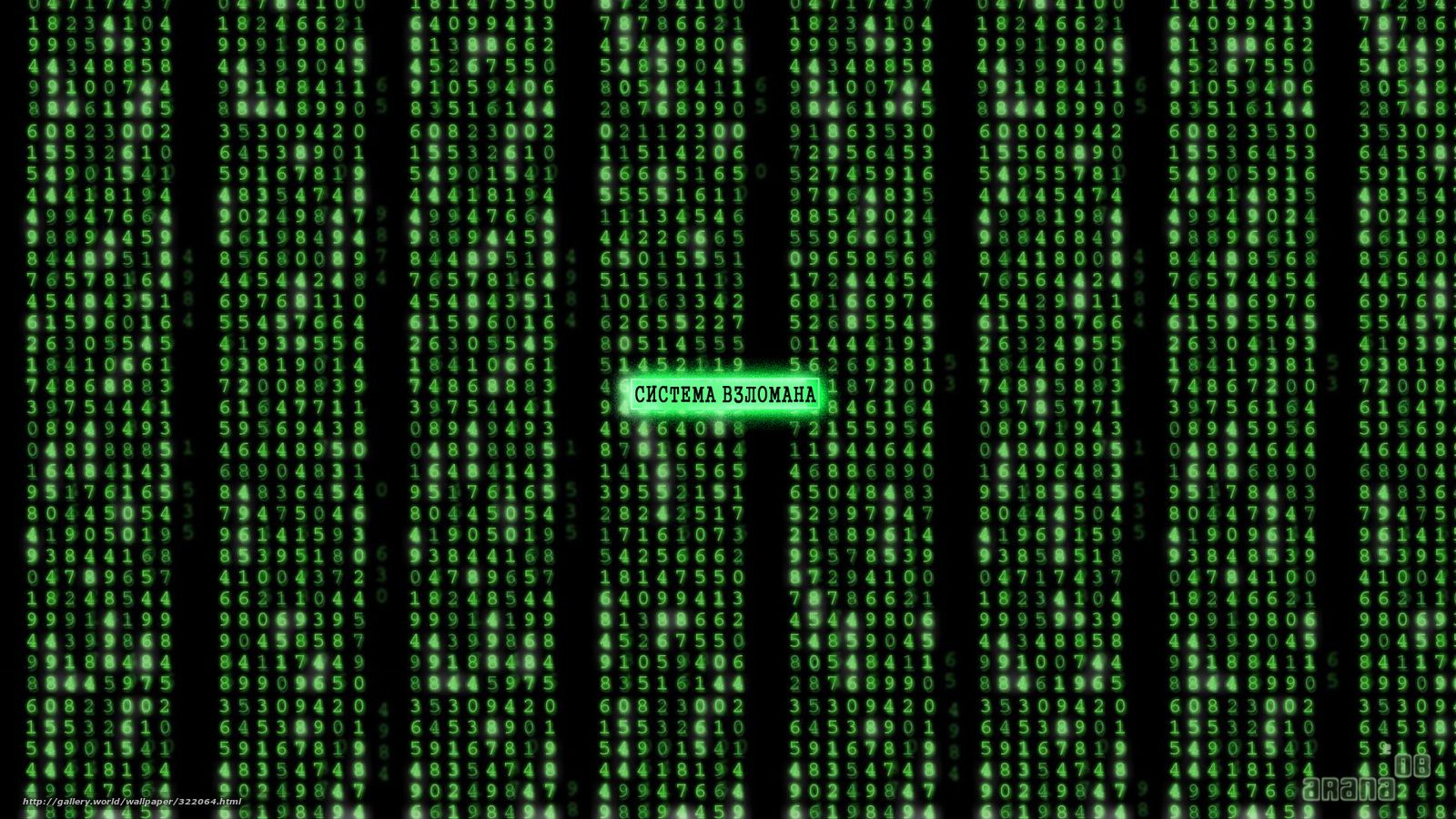 Matrix Wallpaper  rS10wallpapers