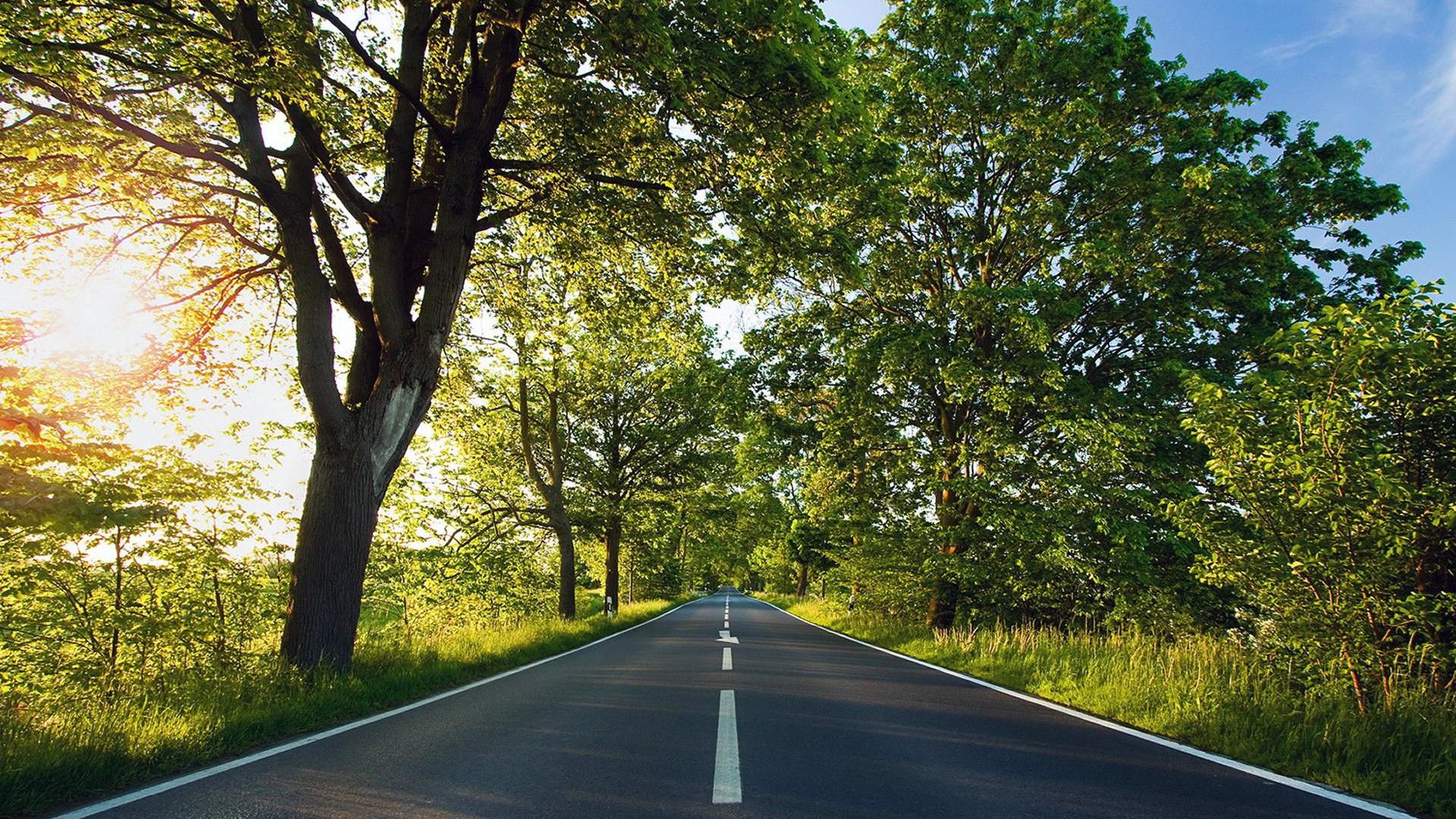 Background and HD Spring Wallpaper 1920x1200PX. Wide Screen Wallpaper 1080p, 2K, 4K. Wallpaper natureza, Fotografia da natureza, Fotografia de paisagem