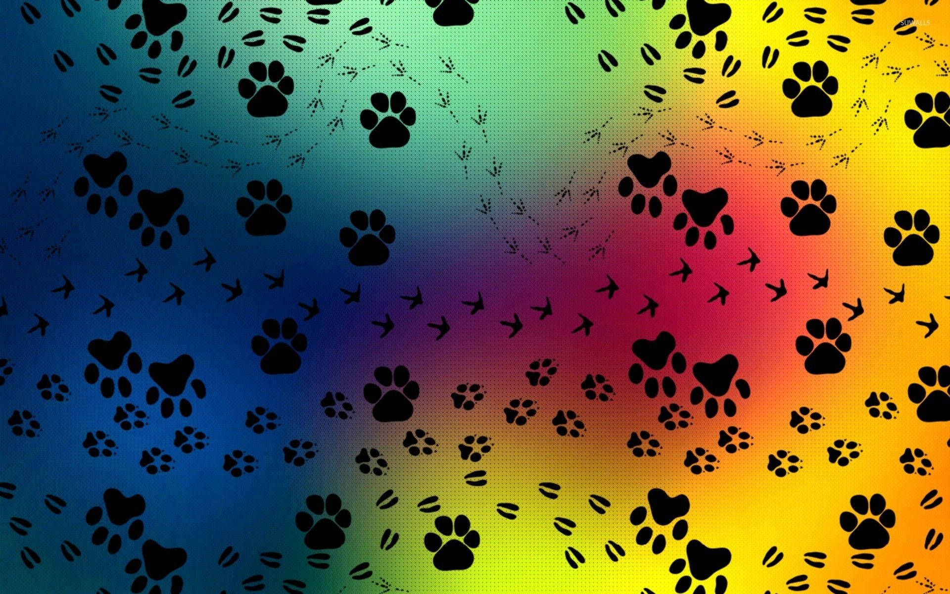 Paw Print Wallpaper