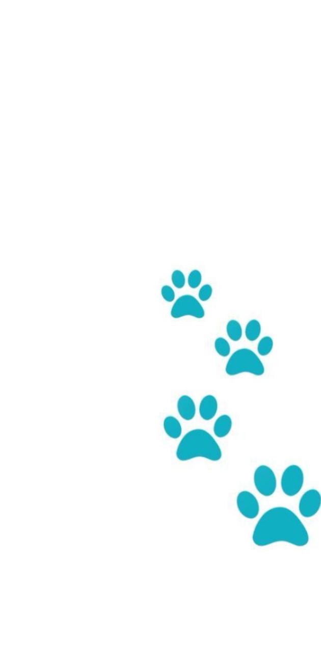 Paw prints wallpaper