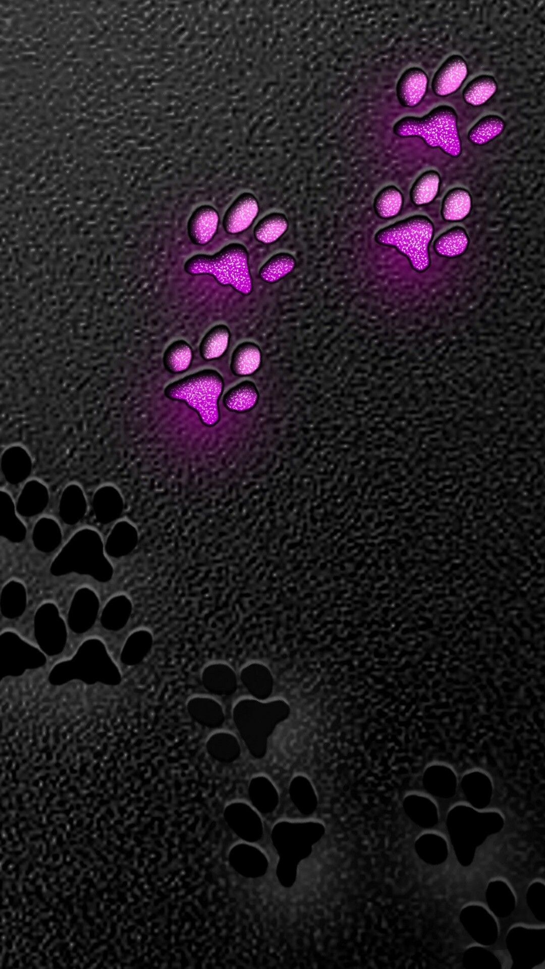 Paw Print Wallpaper