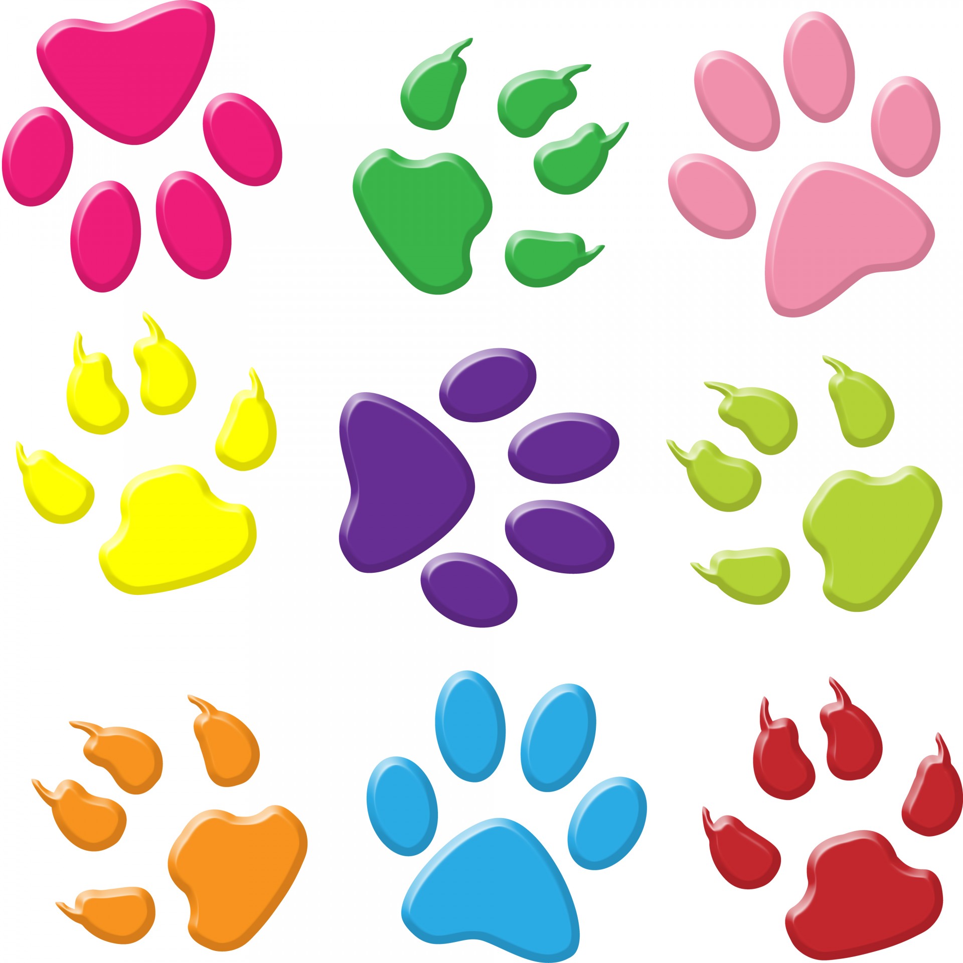 Download free photo of Paw print, paw prints, pawprint, pawprints, colorful