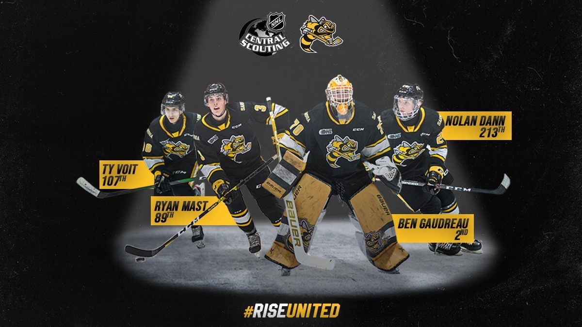 Sarnia Sting Wallpapers Wallpaper Cave