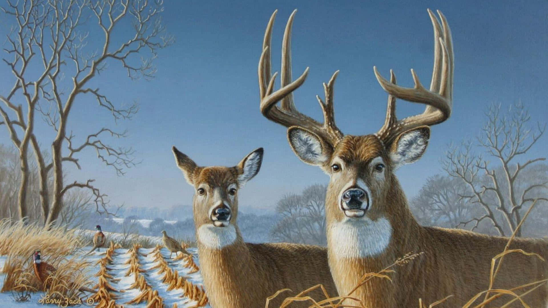 Download Whitetail Deer Couple With Curious Pheasants Wallpaper