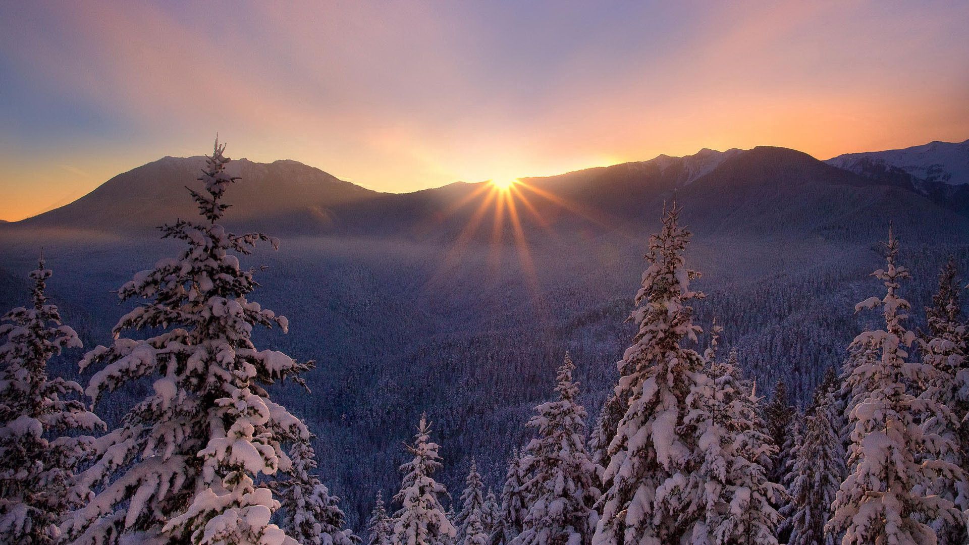 Download wallpaper 1920x1080 snow, nature, frost, trees, sunset, lesogor, beautiful, winter HD background