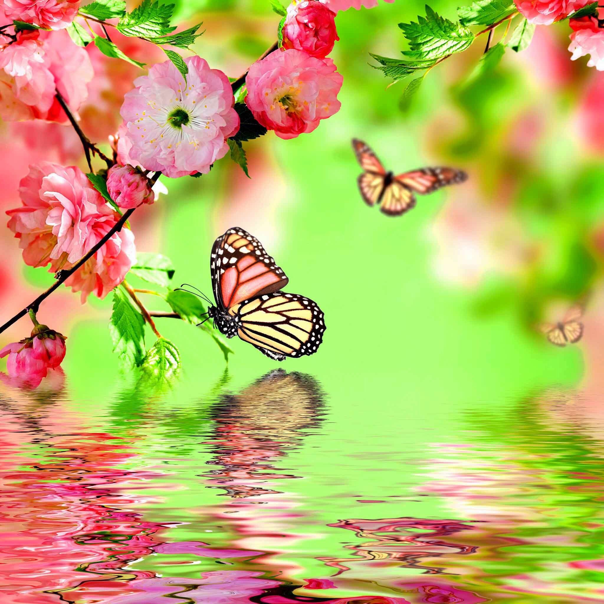 Dreams of Spring Wallpaper. Cross paintings, Butterfly wallpaper, Butterfly picture