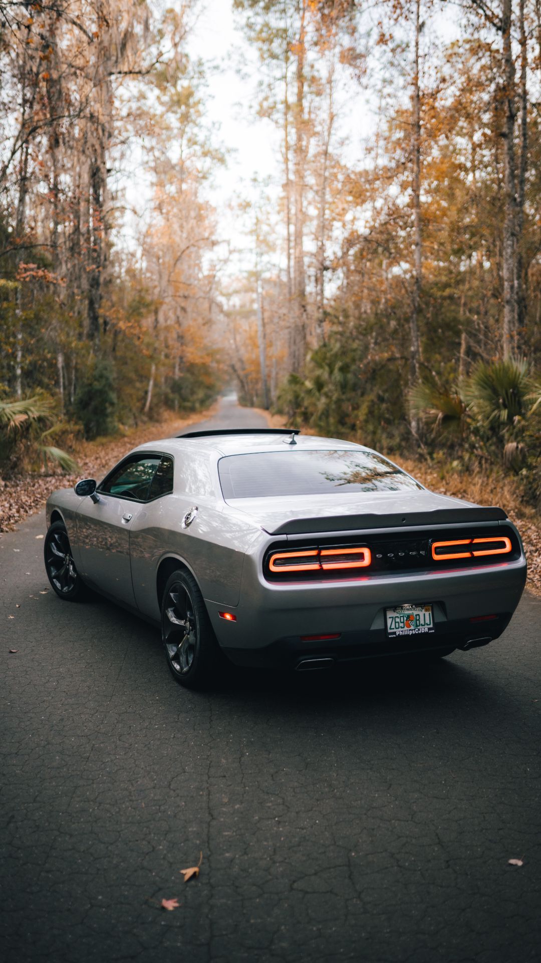 Dodge Challenger Wallpaper