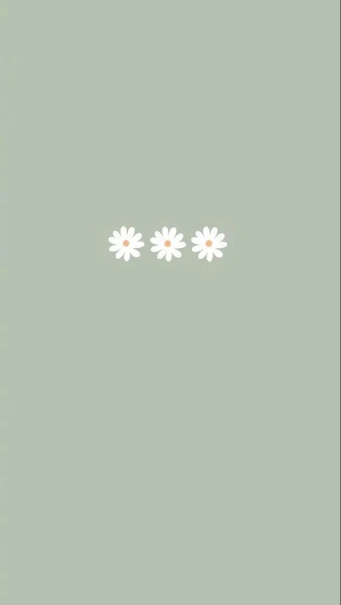 cool iPhone wallpaper background for you to save. Color wallpaper iphone, Daisy wallpaper, iPhone wallpaper green