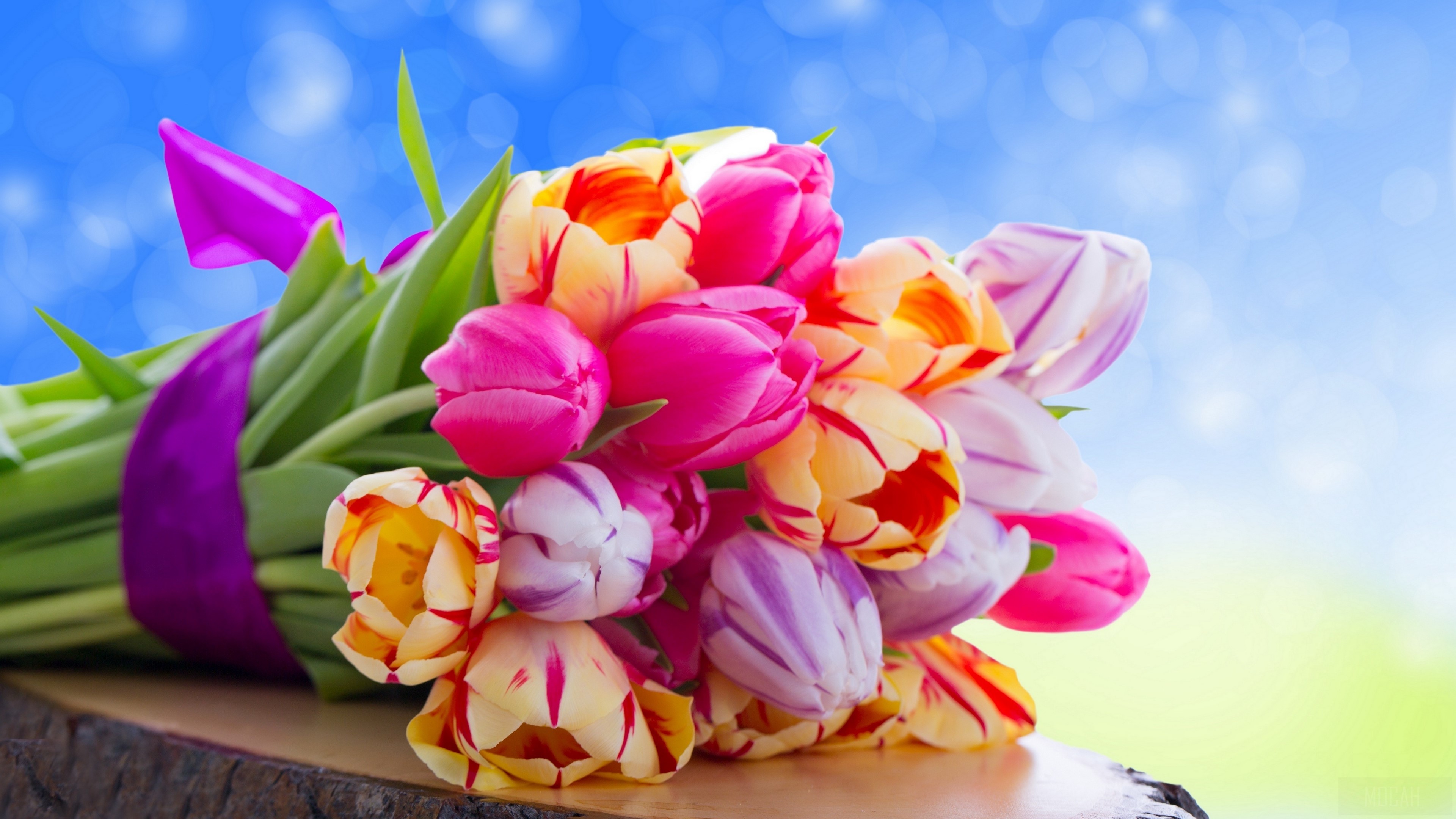 tulips, flowers, bouquet 4k Gallery HD Wallpaper