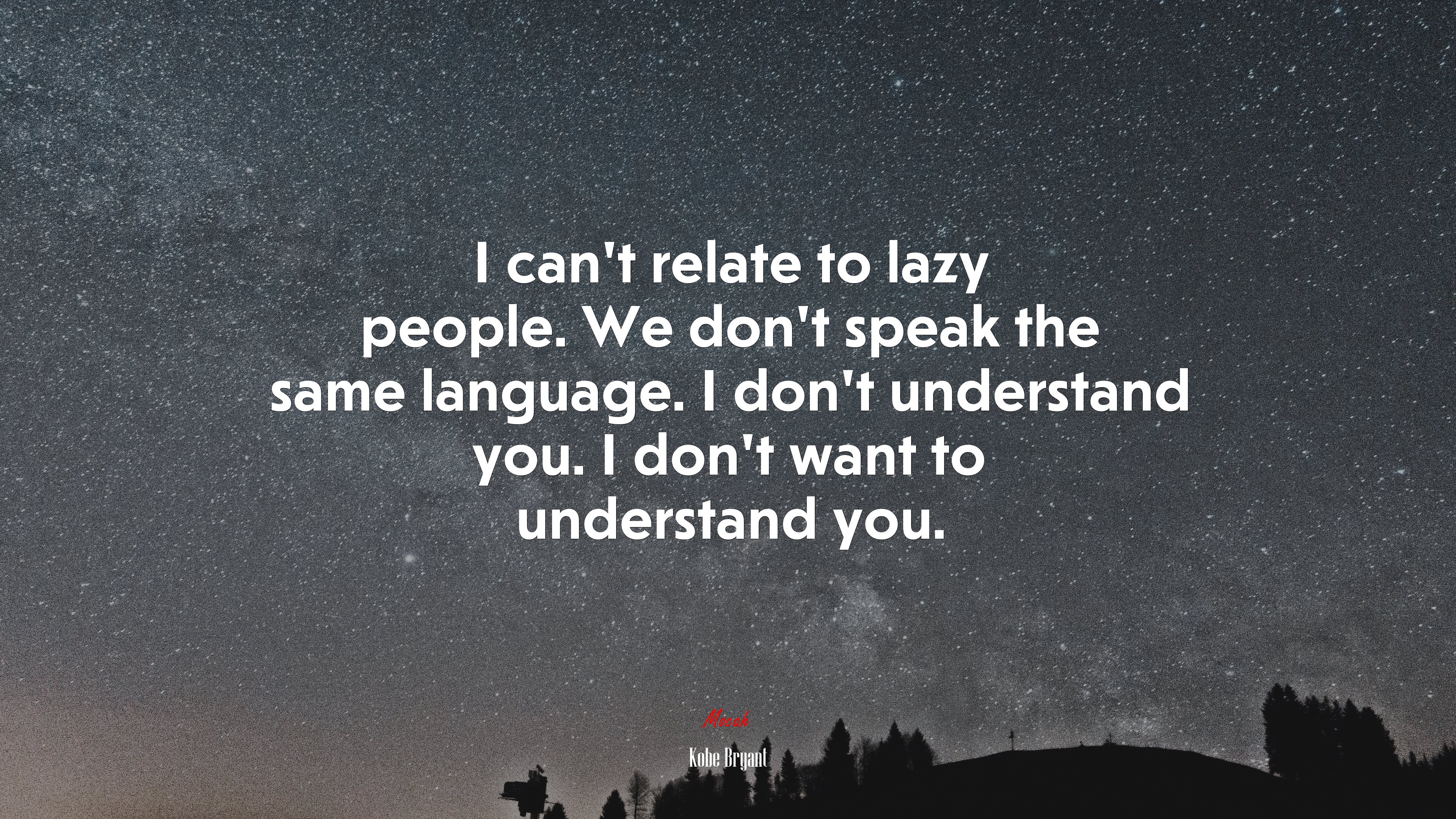I have nothing in common with lazy people who blame others for their lack of success. Great things come from hard work and perseverance. No excuses. Kobe Bryant quote, HD Wallpaper