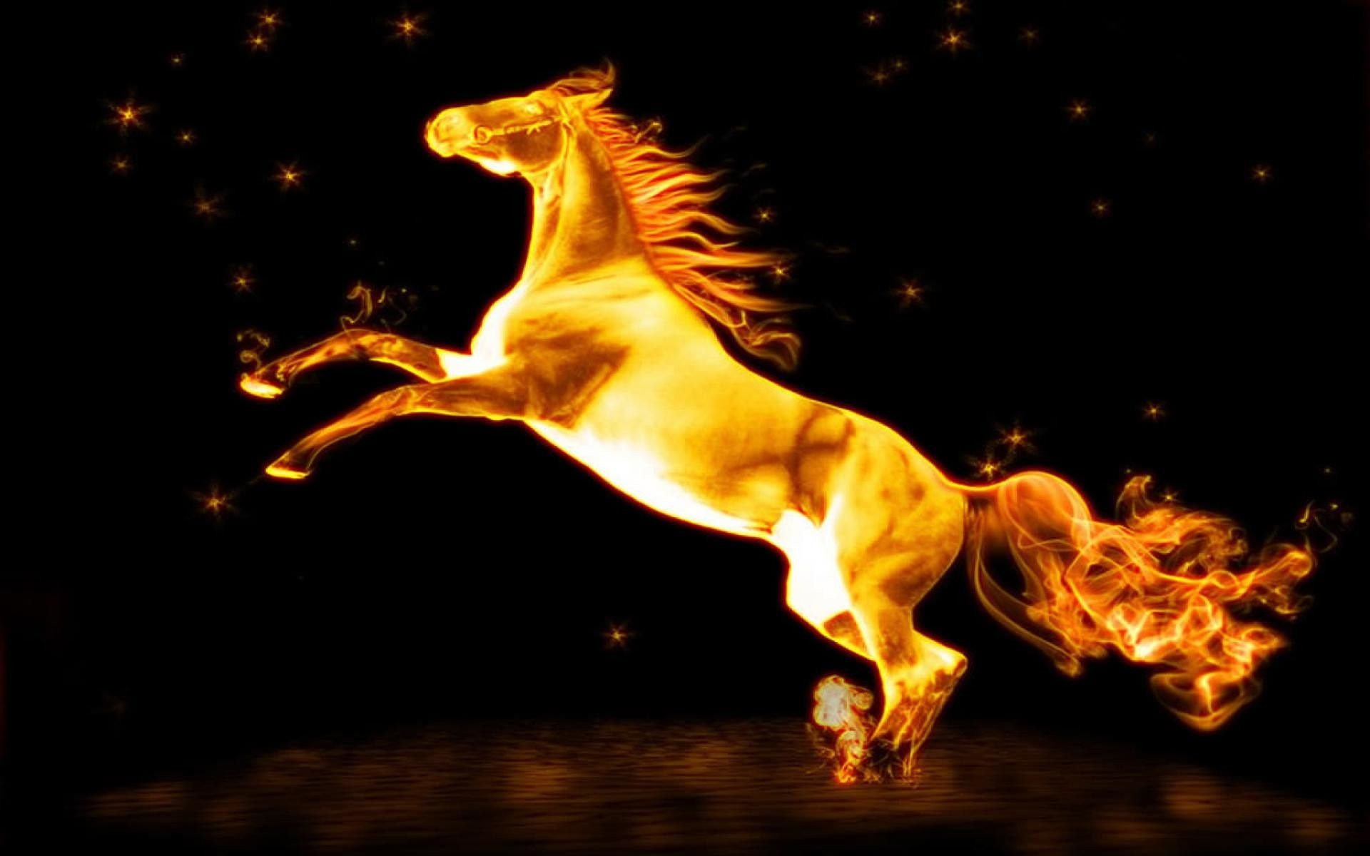Golden Horse Wallpapers Wallpaper Cave