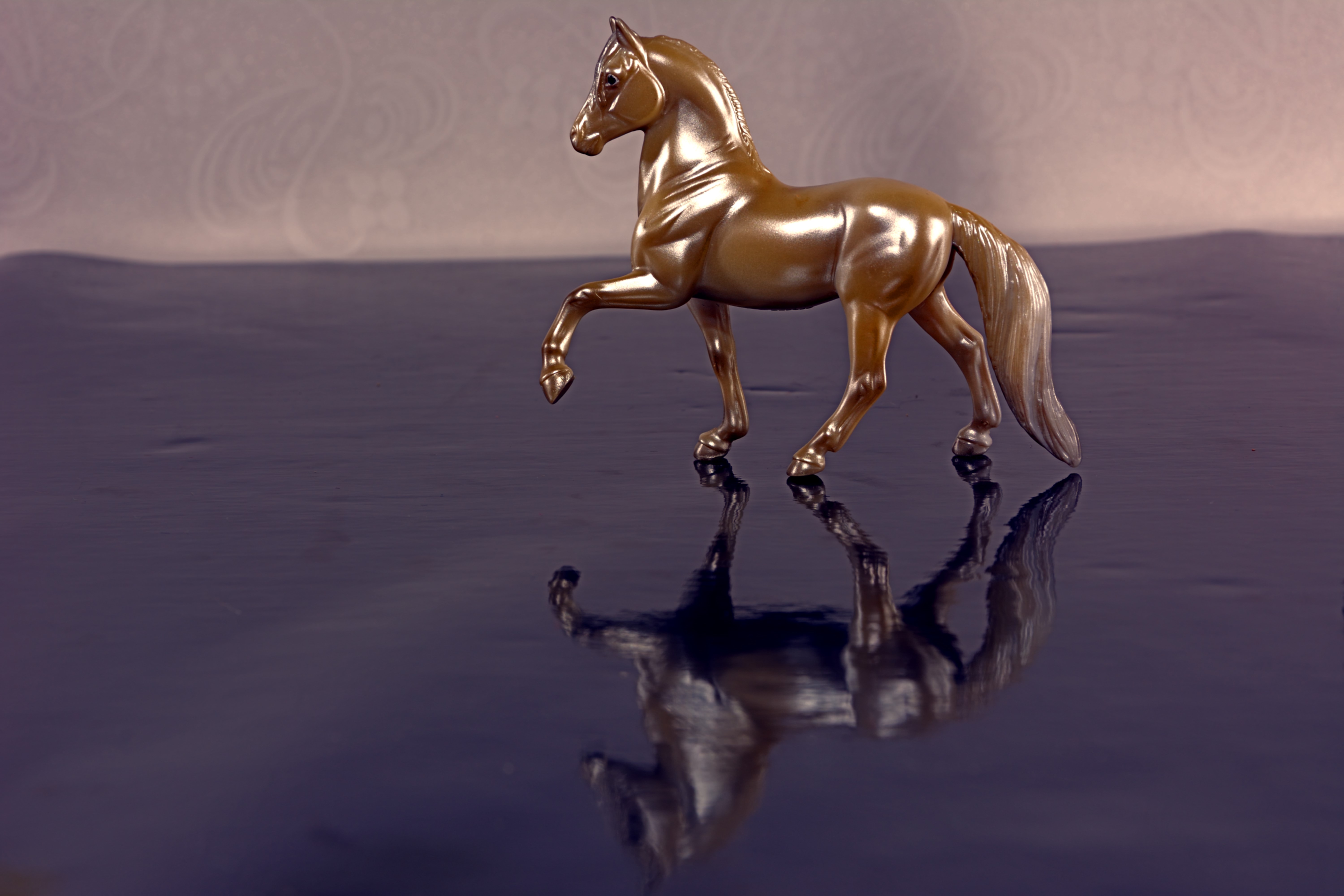 Golden Horse Wallpapers Wallpaper Cave