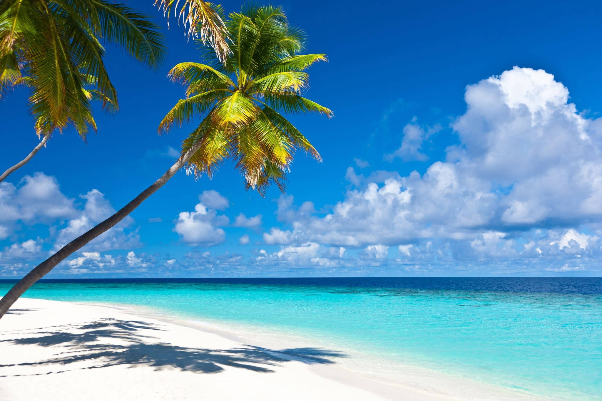Download Caribbean Beach Landscape Wallpaper