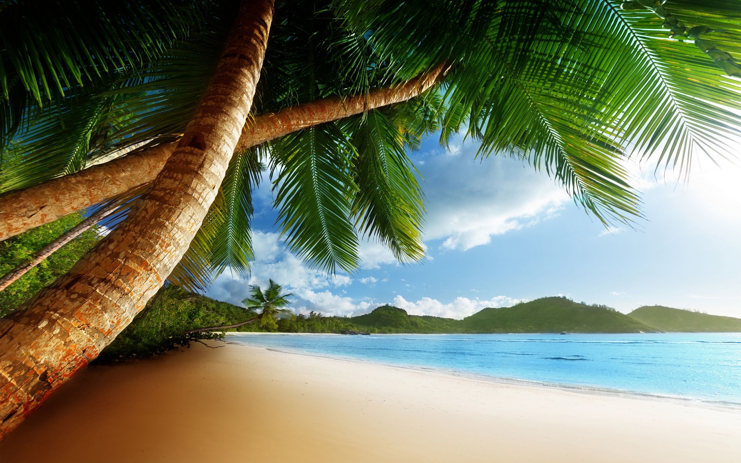 Caribbean Beach Wallpaper