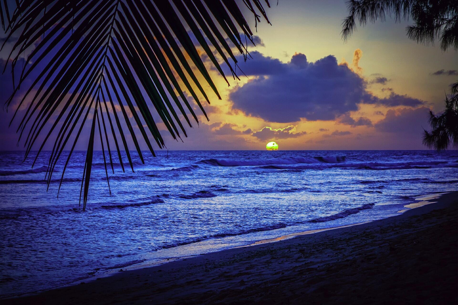 Beach Palms Caribbean Sea silhouette list sunset evening Barbados sun wallpaperx1280