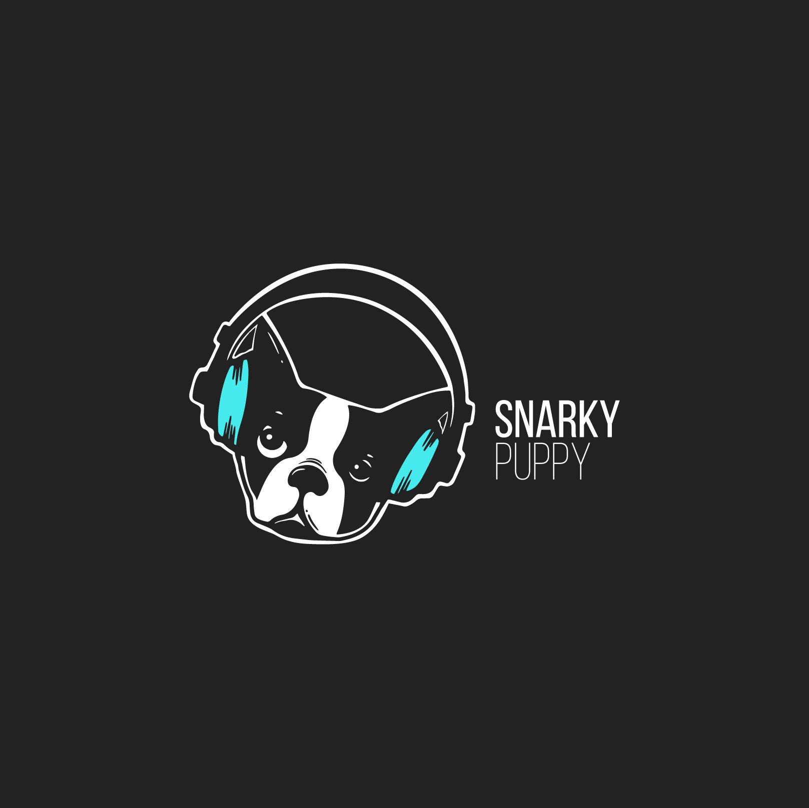 Snarky Puppy - Press