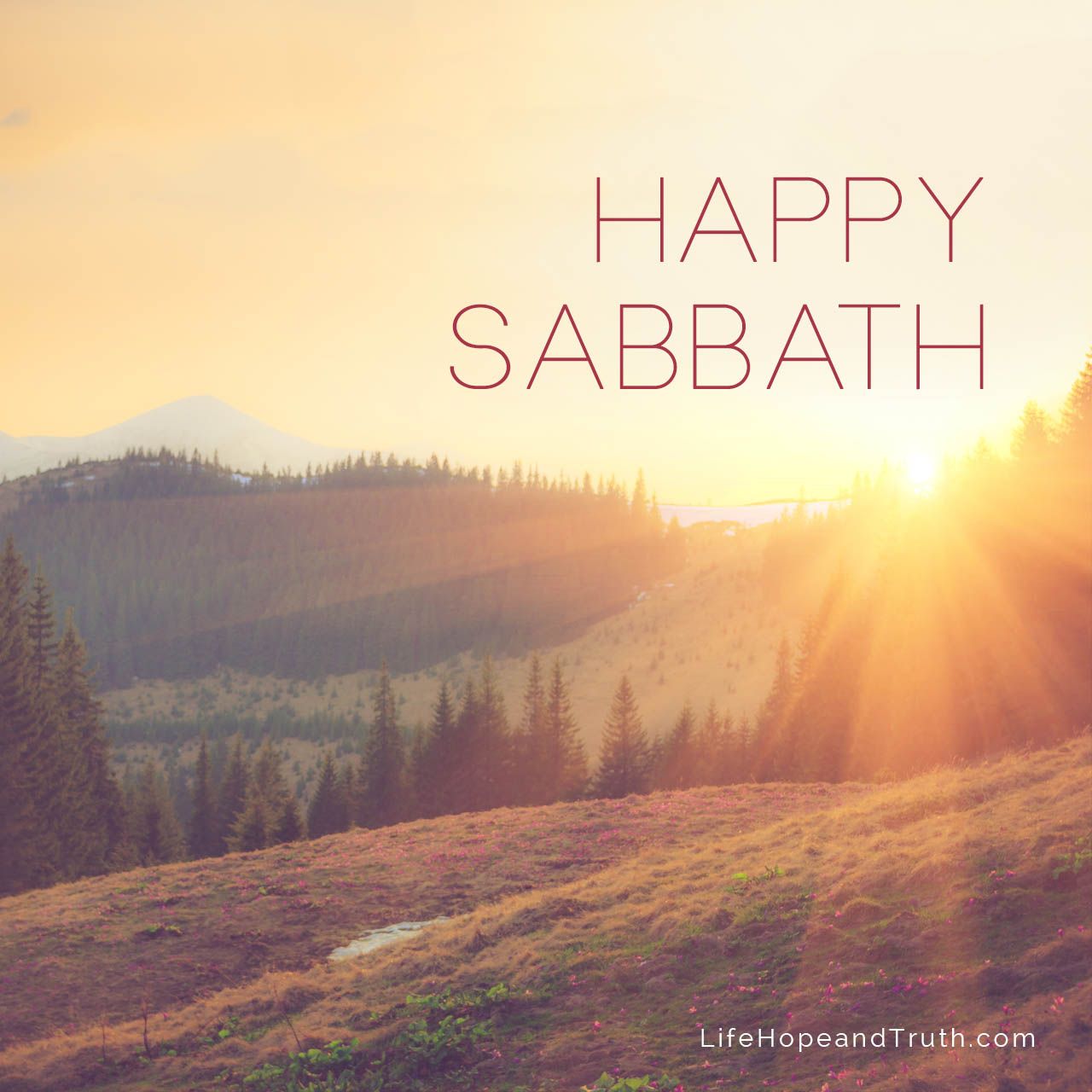 Happy Sabbath