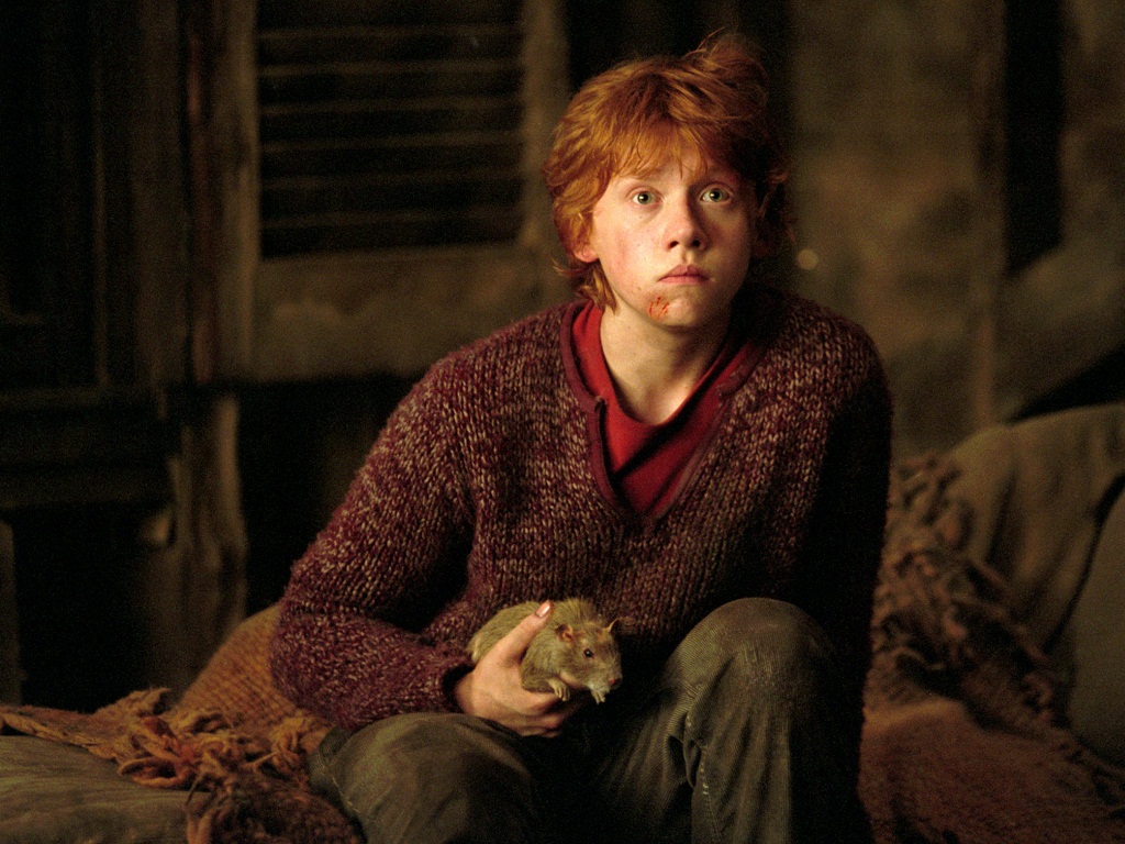 Ronald Weasley Wallpaper Weasley Wallpaper