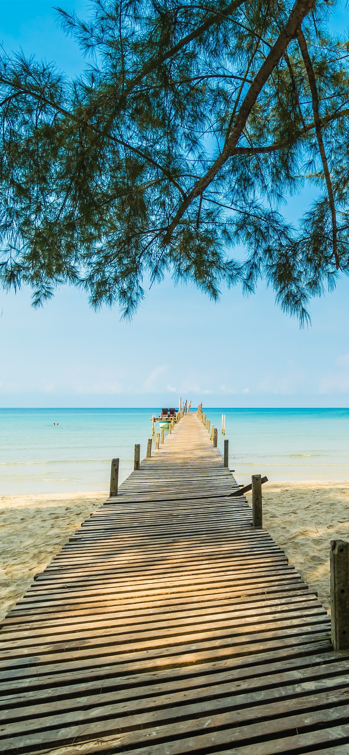 Beach, Sands, Pier, Trees, Sea, Tropical 1242x2688 IPhone 11 Pro XS Max Wallpaper, Background, Picture, Image