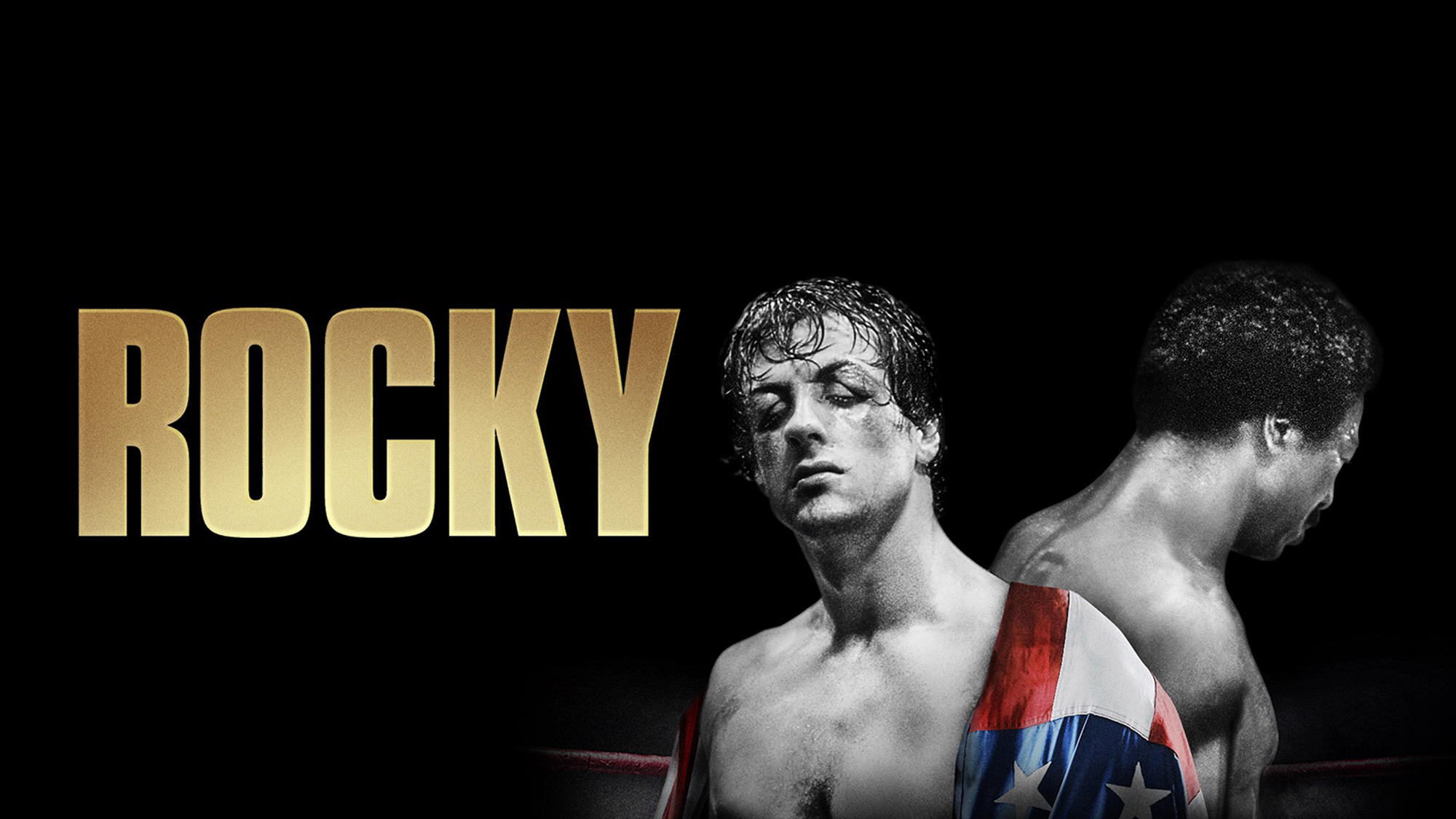 There'll never be a 'Rocky IV.' You gotta call a halt. Sylvester Stallone quote Gallery HD Wallpaper