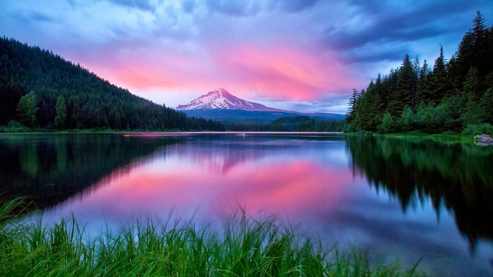 HD Nature Wallpaper Free Download