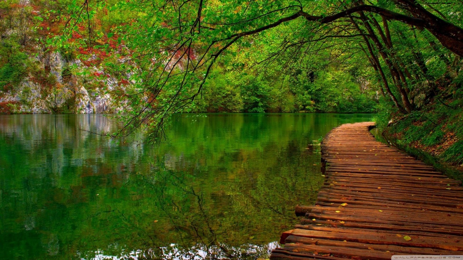 Nature 1600x900 Wallpaper