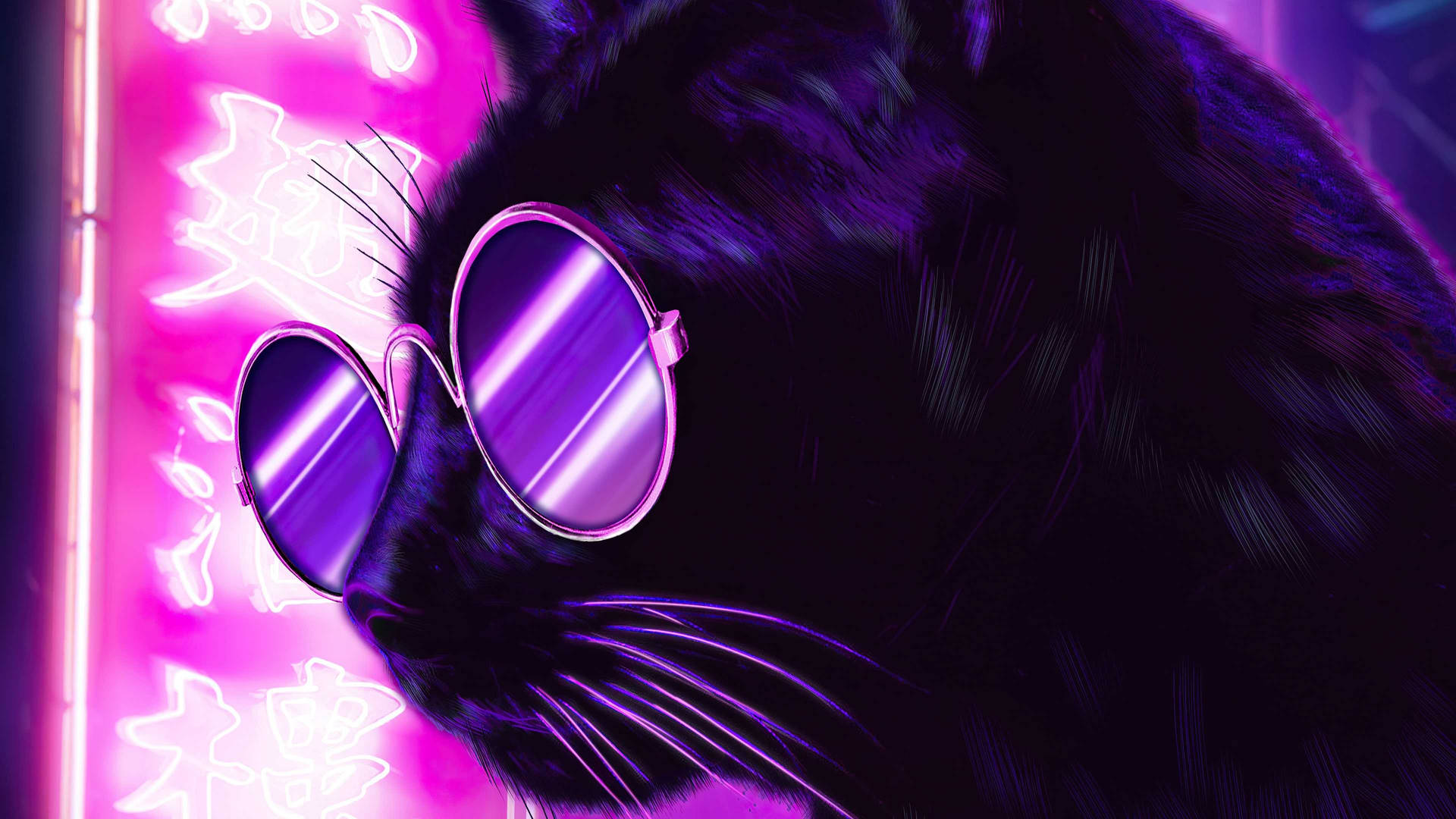 Download Neon Purple Aesthetic Shaded Cat Wallpaper