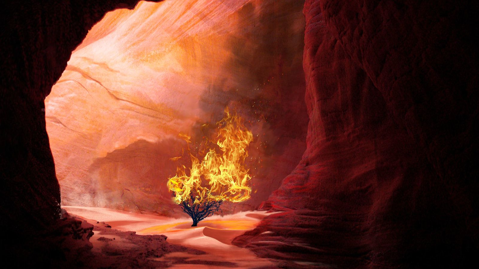 The Burning Bush Artwork M8KLe. Burning Bush, Baptized In Fire, Egypt Tattoo