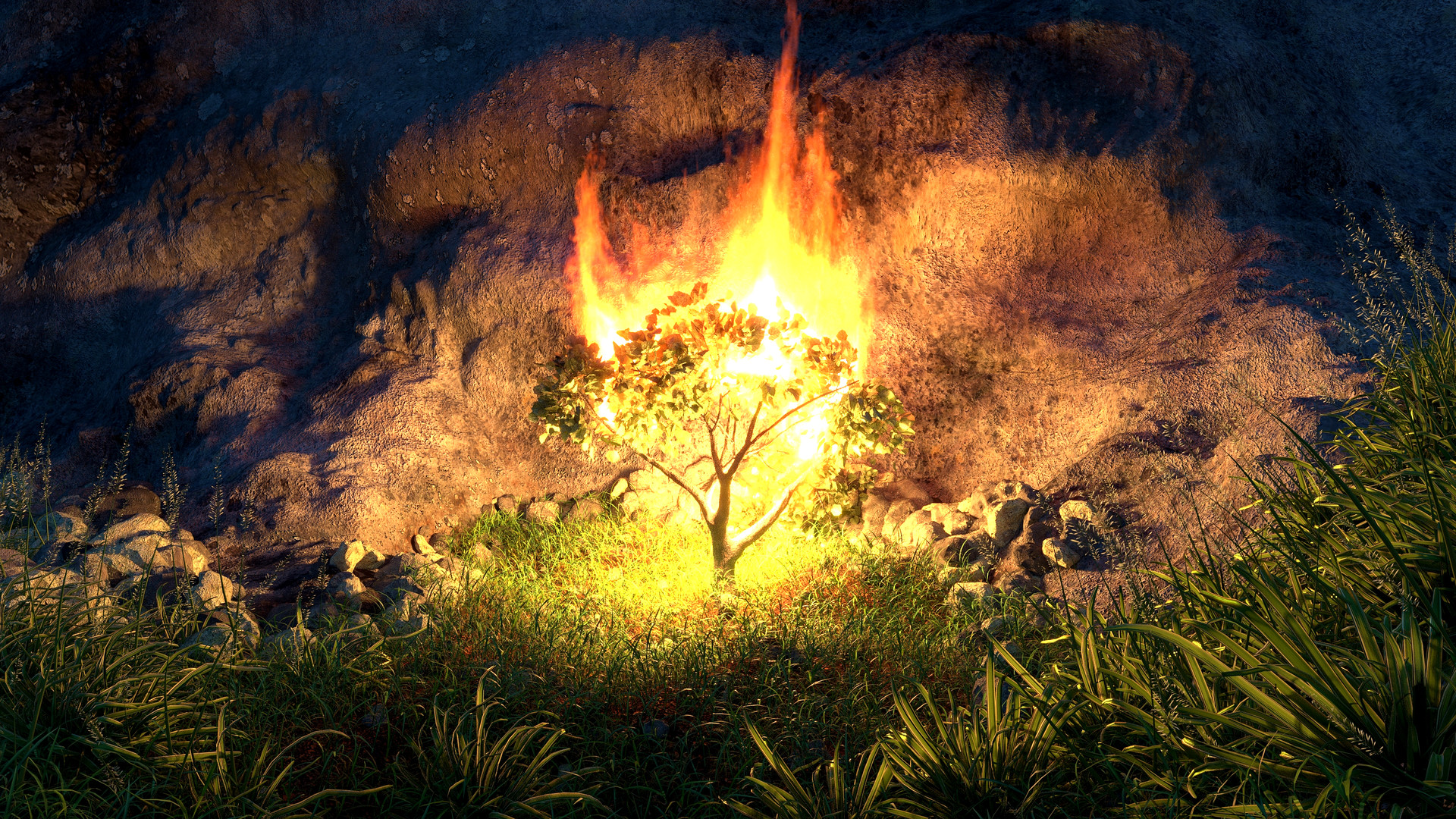 Burning Bush