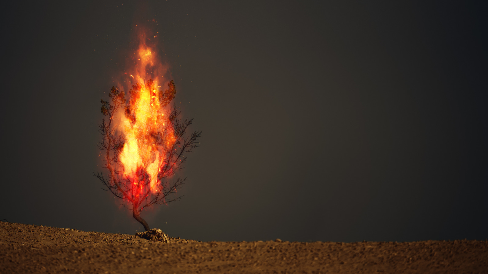 The Bible's Burning Bush Explained