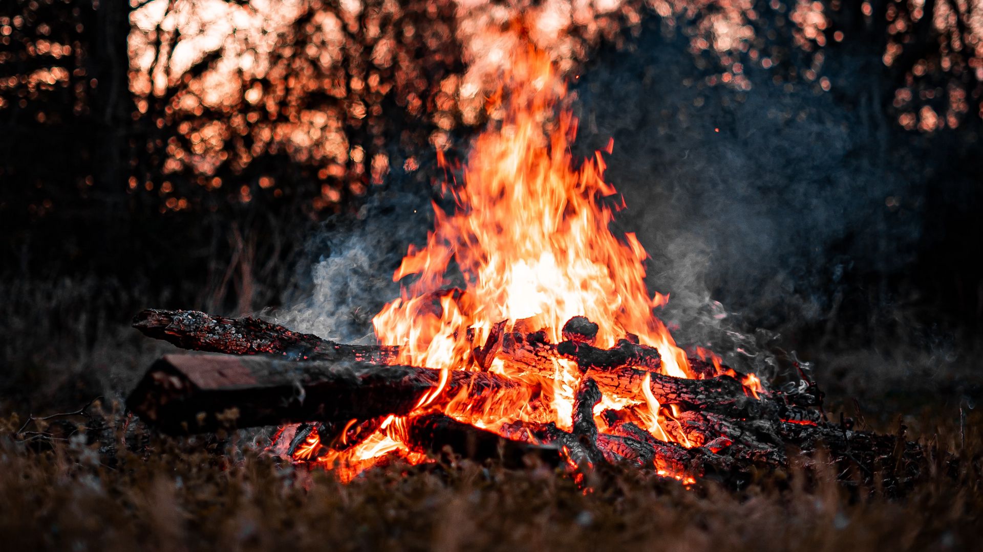 Bonfire, Firewood, Smoke HD Wallpaper Download