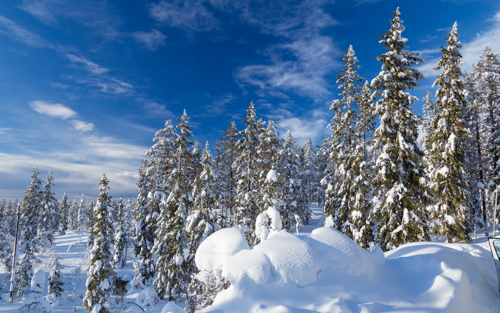 Wallpaper / Sweden, winter, white, blue, nature, snow, trees free download
