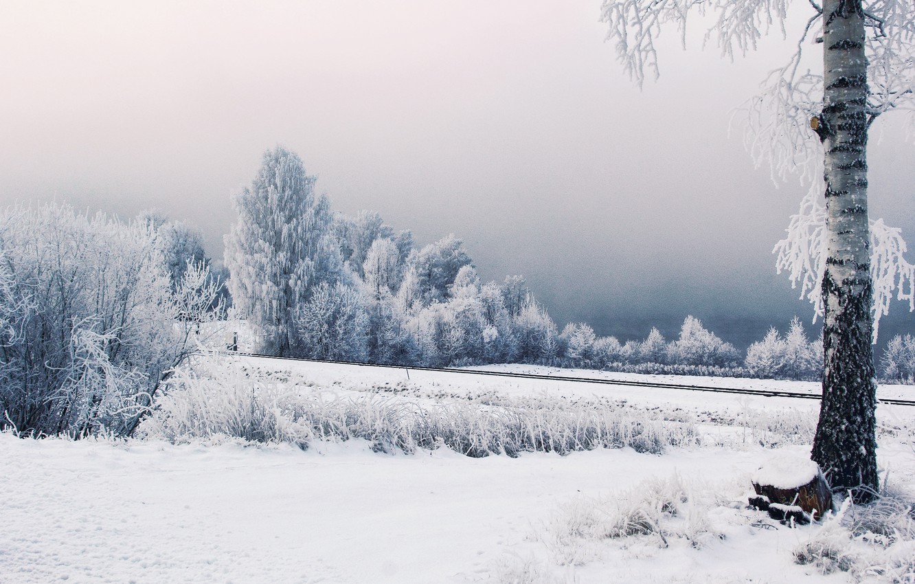 Wallpaper winter, frost, snow, trees, railroad, Sweden image for desktop, section природа