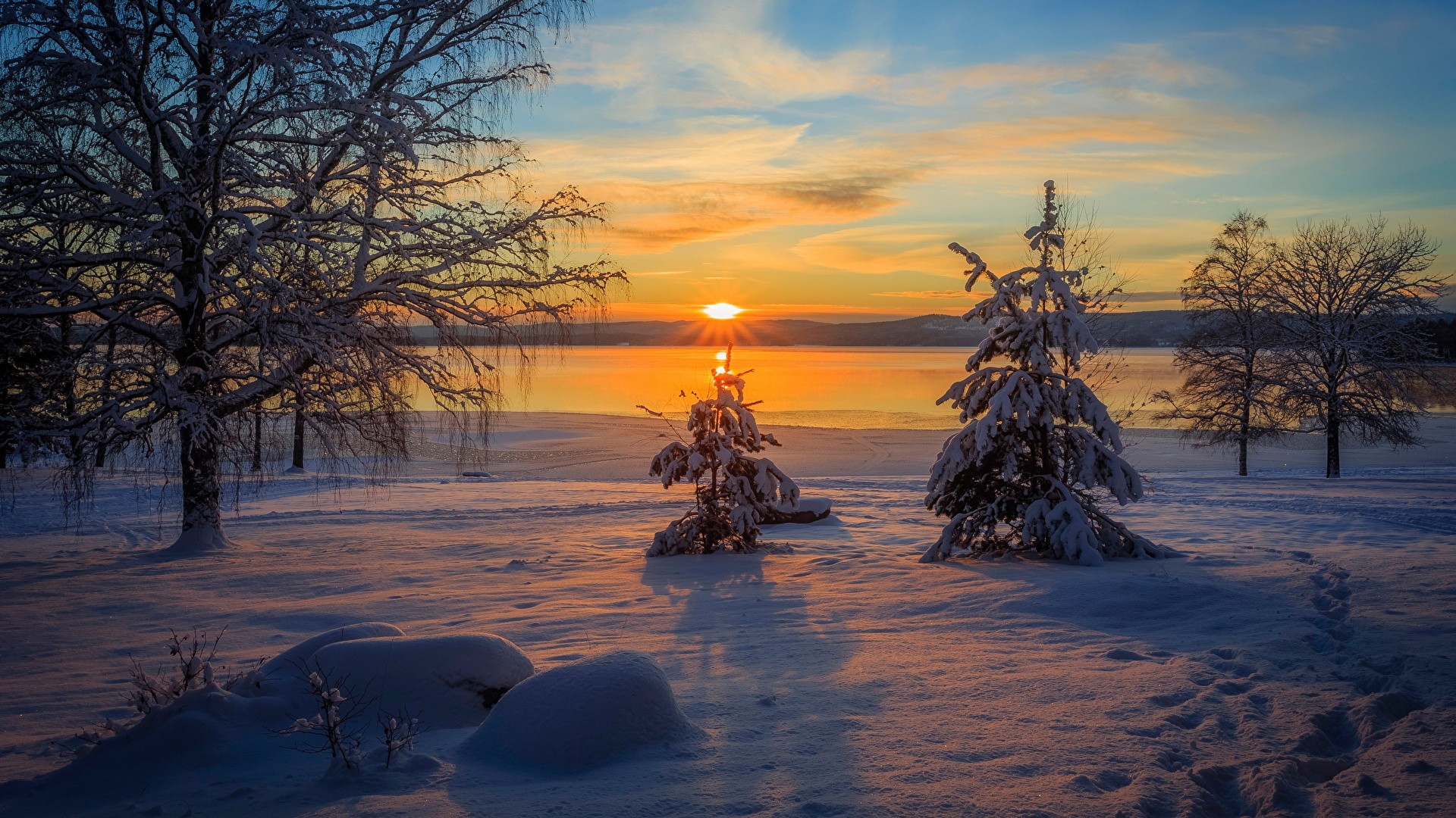 image Sweden Arvika Winter Spruce Nature Snow sunrise and 1920x1080