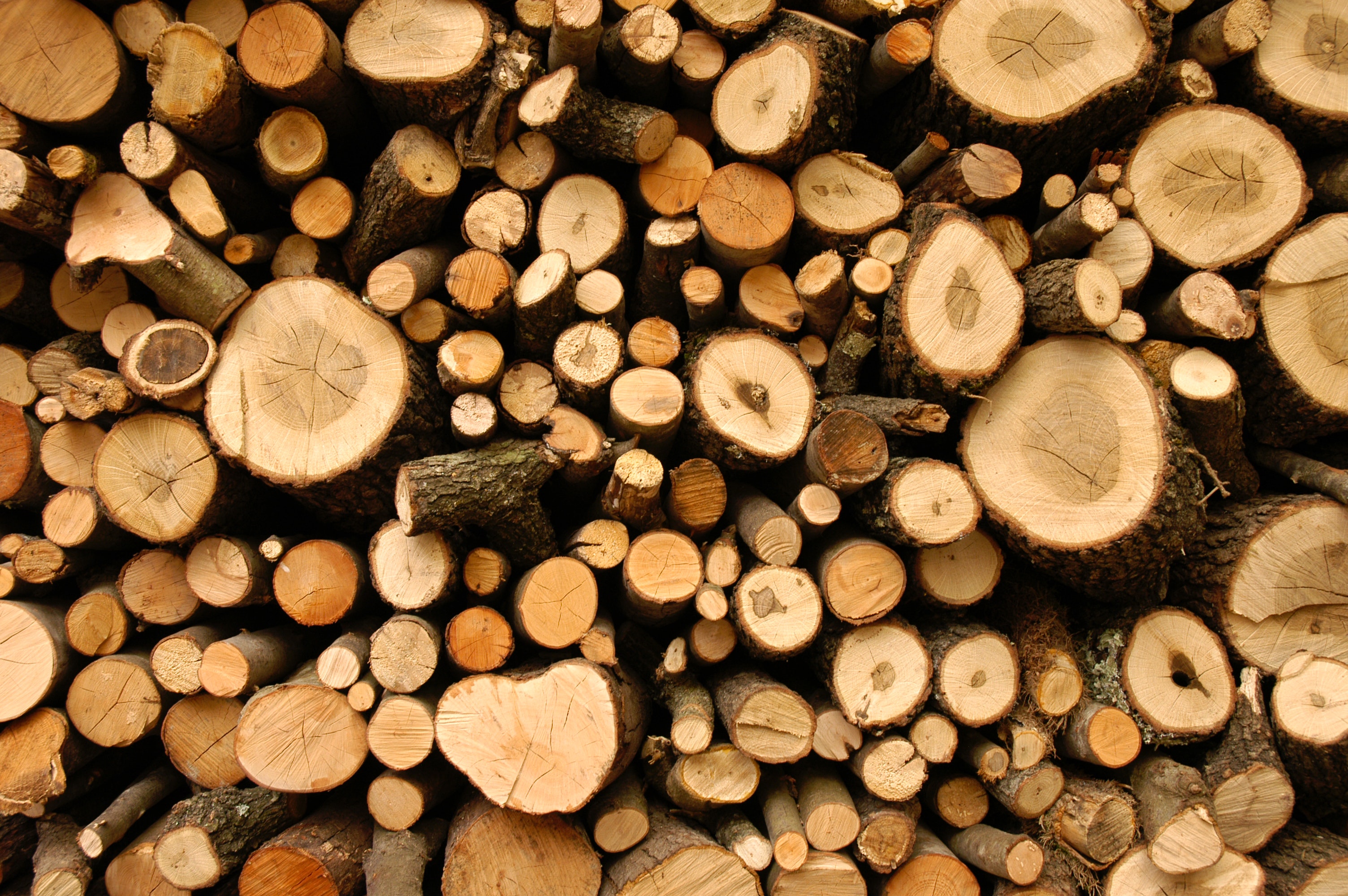 Firewood Photo, Download The BEST Free Firewood & HD Image