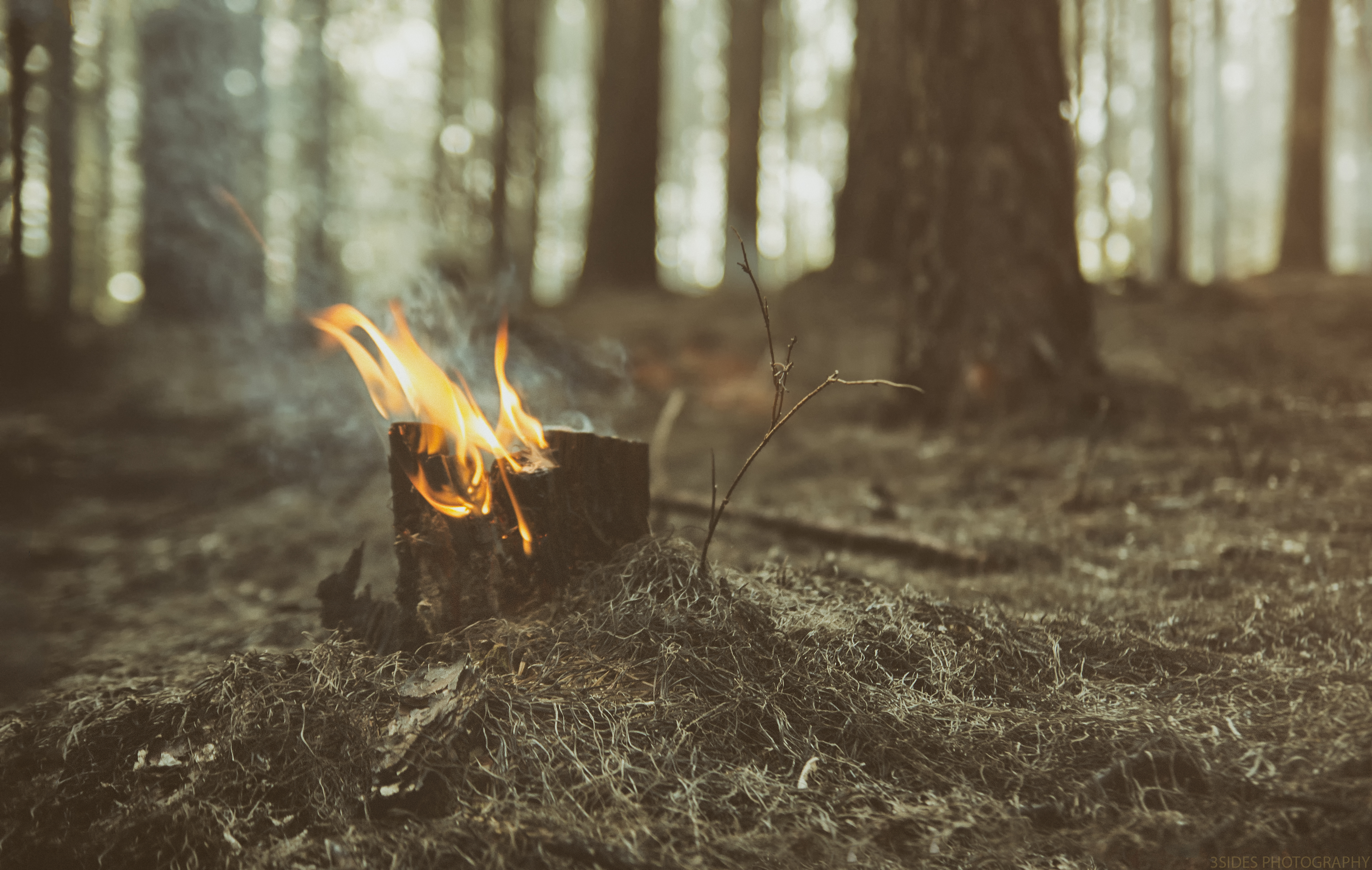 Wallpaper, trees, fire, woods, forrestfire 4951x3140