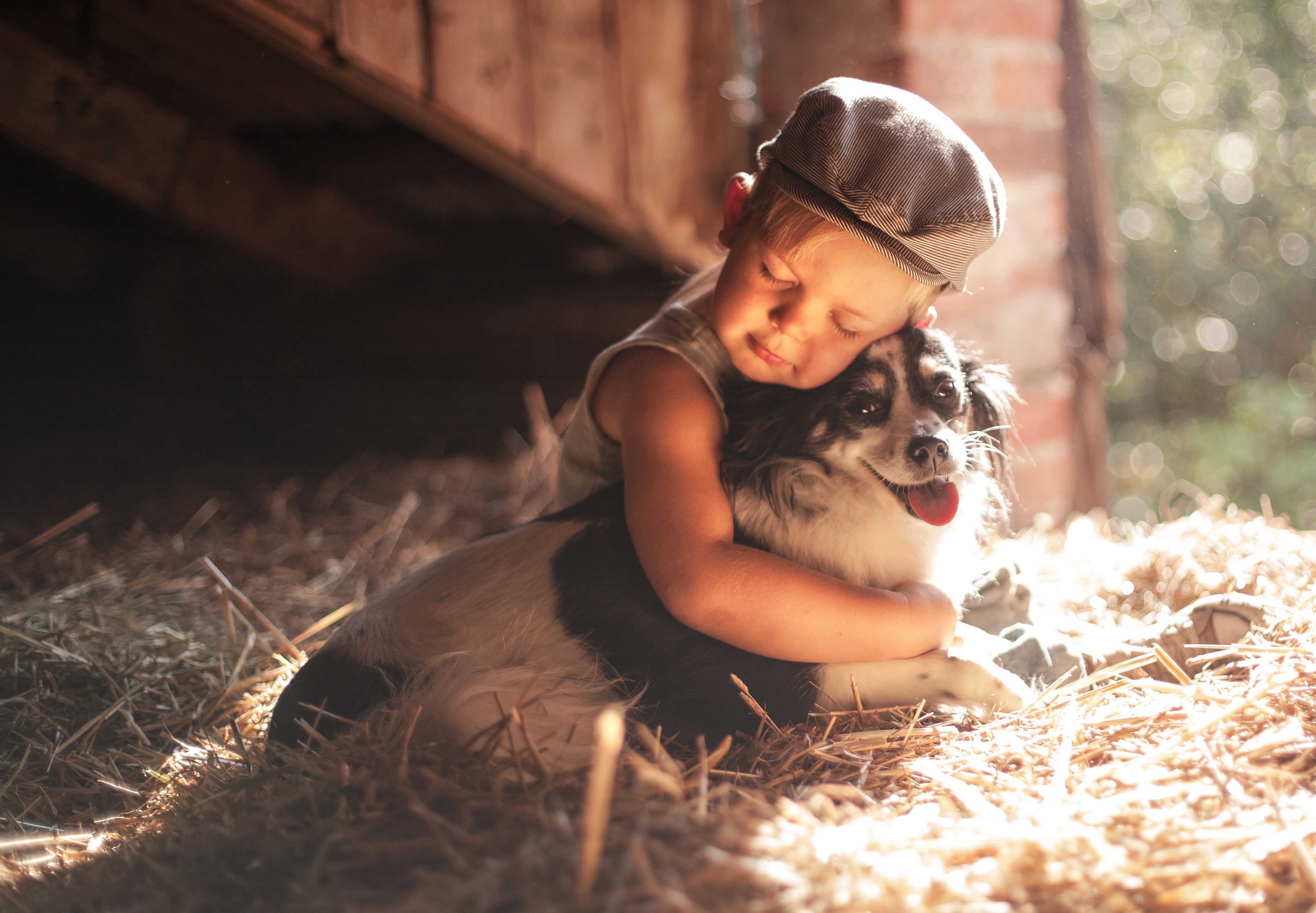 4K, Dogs, Hug, Hay, Boys Gallery HD Wallpaper