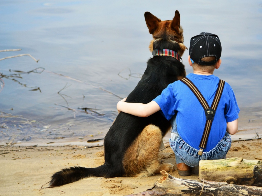 Dog And Boy Friendship Wallpaper