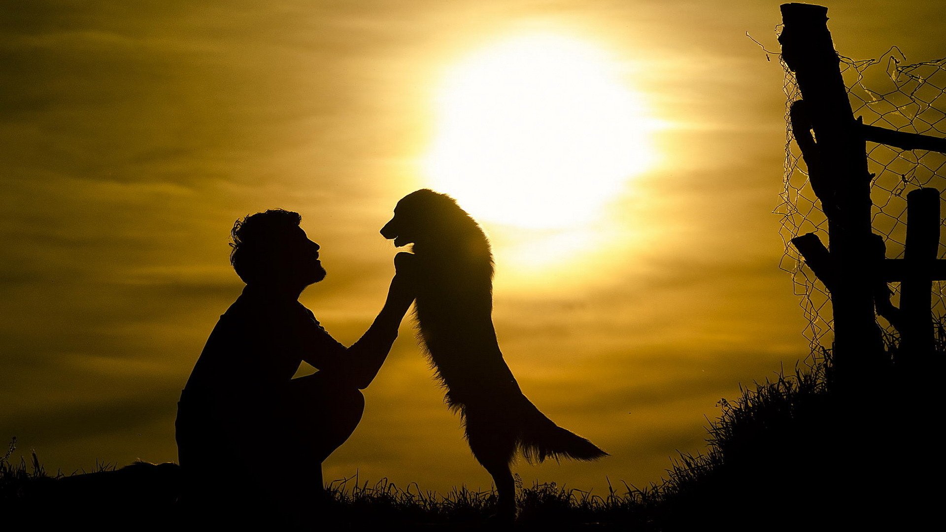 mood, Boy, Dog, Friends, Sun, Sunset, Silhouette, Animals Wallpaper HD / Desktop and Mobile Background