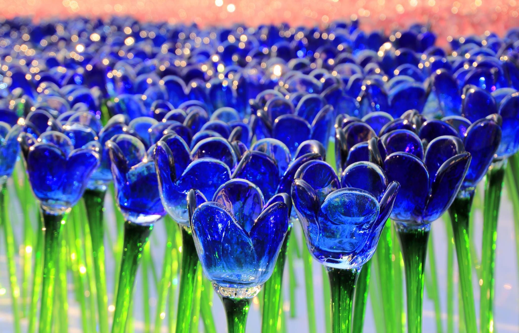 blue glass Tulips HD wallpaper