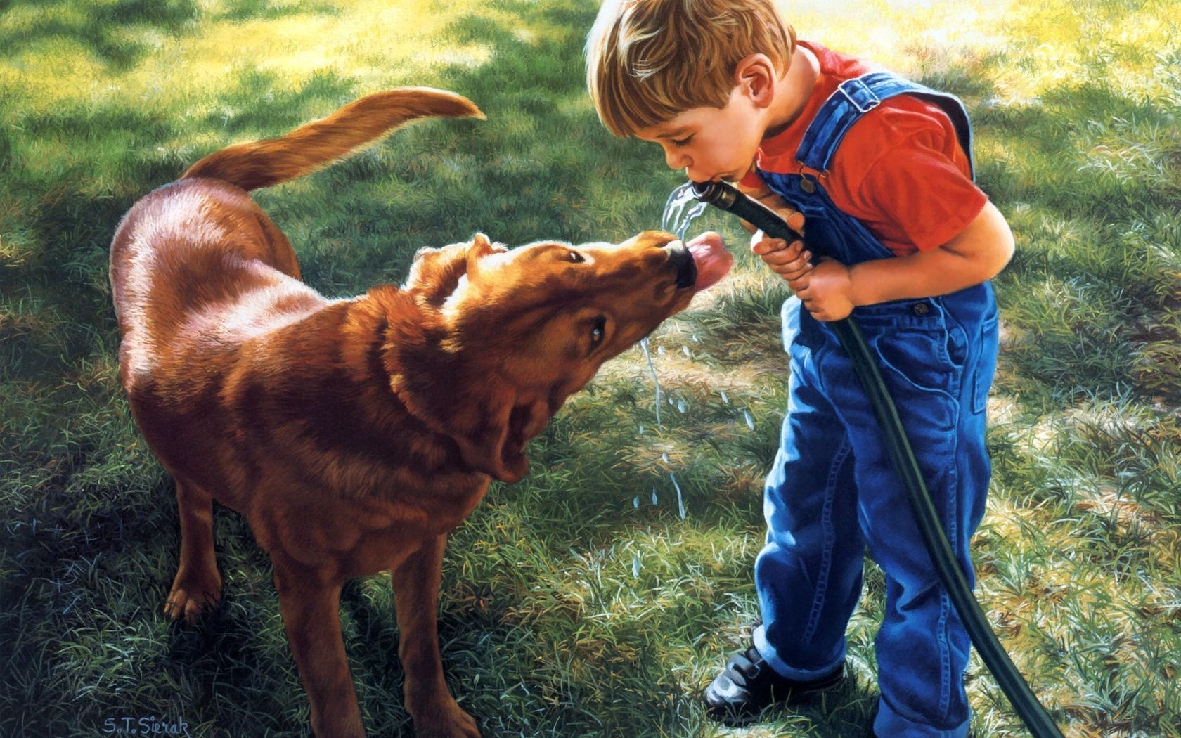 Wallpaper, child, boy, dog, water, hose, thirst 1680x1050