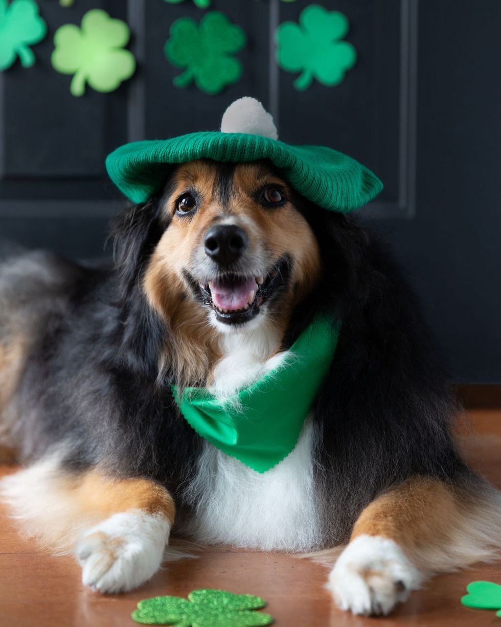 Best St. Patrick's Day Instagram Captions for 2023