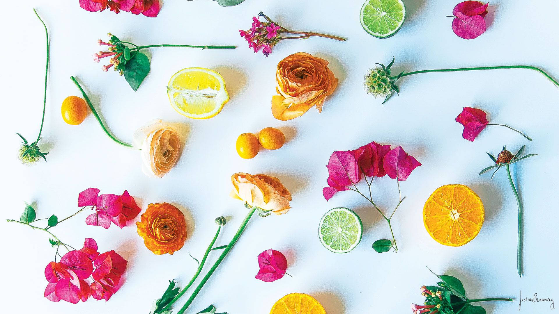 Free Minimalist Spring Wallpaper Downloads, Minimalist Spring Wallpaper for FREE