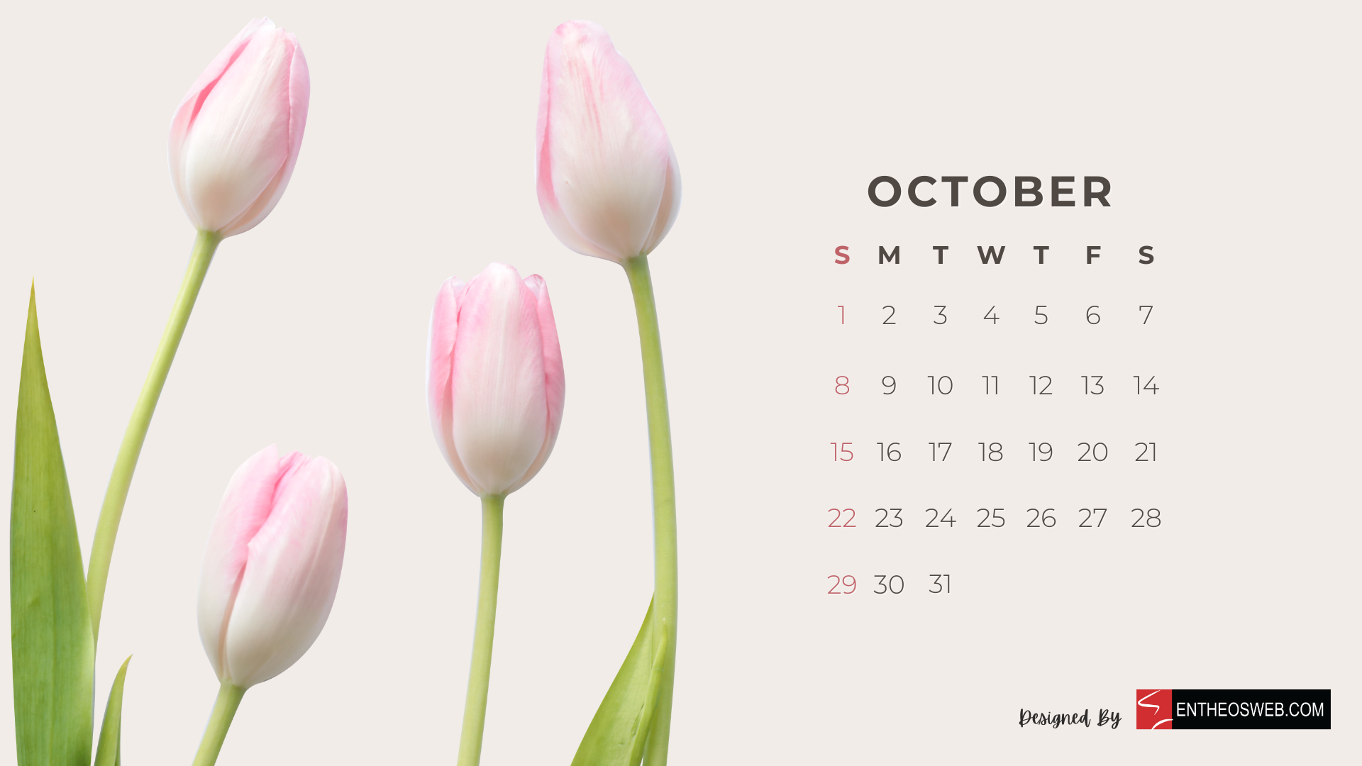 Beautiful Flowers 2023 Monthly Calendar for Desktop Wallpaper and Print